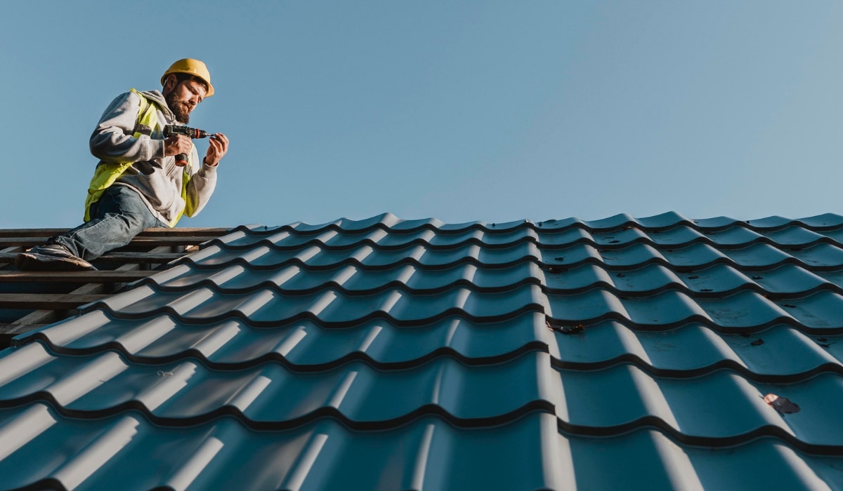 Reasons to maintain and clean your property's roofs