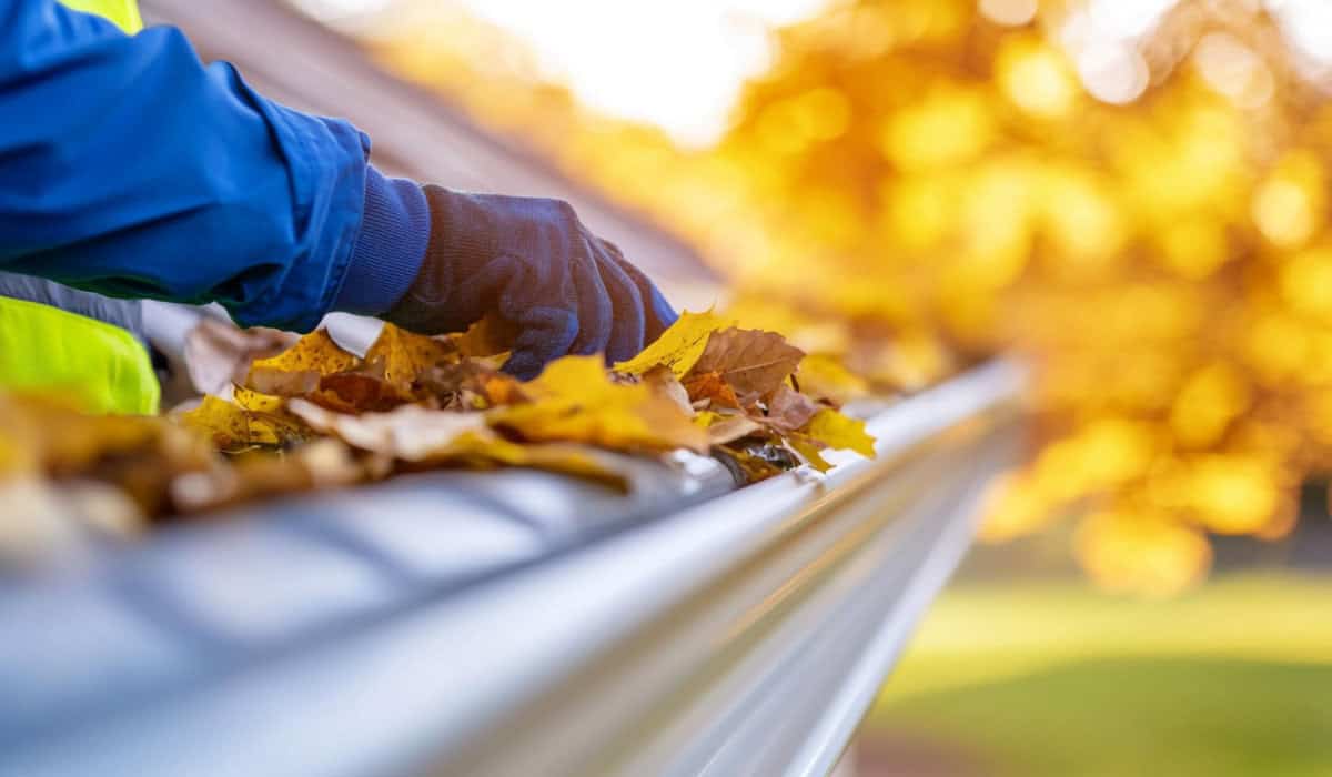 How Gutter Cleaning Can Prevent Flooding in Your Property